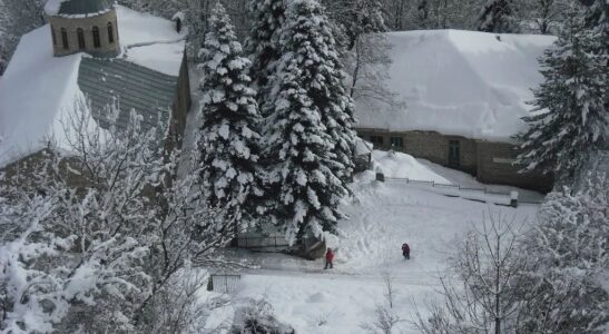 Getting married in Winter?   This place is fabulous for your photo album.