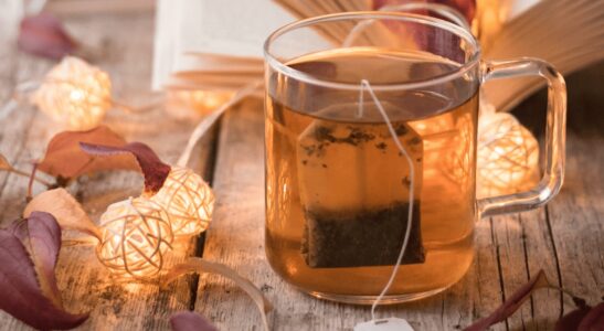 Winter drinks that warm up your body & heart. 