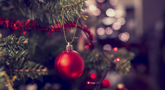 Home decorations for Christmas and New Year celebration